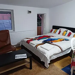 Sara 3 Dormitoare Nu Primesc Santieristi Si Petrecareti Bucureşti
